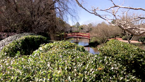 Slo-pan-of-red-bridge-over-pond,-trees-and-green-foliage,-Ju-Raku-En-Japanese-Garden,-Toowoomba,-Australia