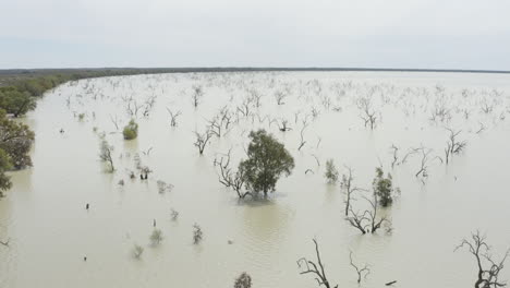 Aerial-shot-of-Lake-with-dead-trees-in-the-water