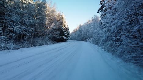 Beautiful-scenic-aerial-view-of-a-winter-forest-in-sunny-winter-day,-trees-covered-with-fresh-snow,-ice-and-snow-covered-road,-wide-angle-drone-shot-moving-forward-low-over-the-road