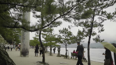 Asiatische-Touristen,-Die-Am-Meer-Der-Insel-Itsukushima-In-Miyajima,-Japan,-Spazieren