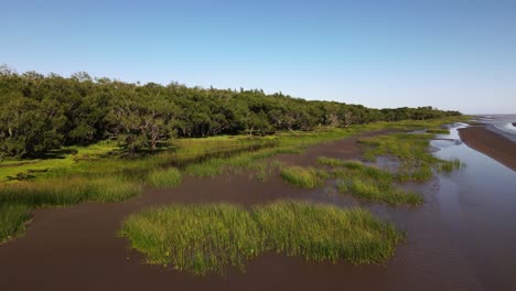 Backward-aerial-of-sandy-swamps-and-woods-by-coast-of-La-Plata-River