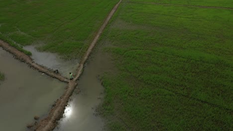 Orbit-Drohnenaufnahme-Von-Reisfeldern-Mit-Bauern-Und-Entwicklung-Am-Stadtrand-Von-Ho-Chi-Minh-Stadt,-Vietnam