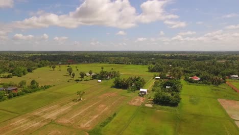 Üppige-Grüne-Reisfelder-In-Flacher-Südostasiatischer-Landschaft,-Luftaufnahme