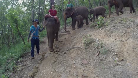 Ein-Junger-Mahout-Führt-Eine-Gruppe-Elefanten-Mit-Kaukasischen-Touristen-Durch-Den-Dschungel-Im-Norden-Thailands