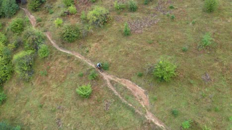 Mountain-biker-descending-hill-on-a-trail-with-an-e-bike-along-forest,-action-scene