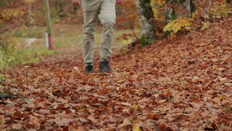 A-person-walking-towards-the-camera-close-to-the-ground-while-walking-on-fall-colour-leaves-that-are-all-over-the-ground-floor