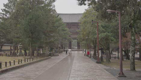 Lluvia-En-El-Templo-Todaiji-En-Nara-Japón