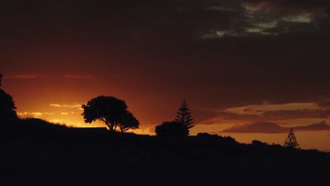 Silhouetten-Von-Bäumen-Auf-Der-Wiese-Bei-Spektakulärem-Sonnenuntergang