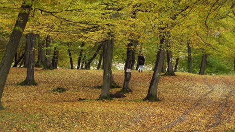 A-Lone-Girl-Wandering-Around-Hoia-Forest-During-Autumn-In-Cluj-Napoca,-Romania