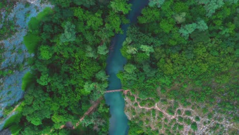 Luftaufnahme-Von-Oben-Nach-Unten-Auf-Den-Blauen-Fluss-Panega-Mit-Brücke-Darüber,-Umgeben-Von-Grünen-Bäumen-In-Der-Nähe-Von-Lukovit,-Bulgarien