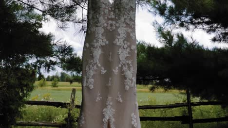 Gorgeous-designer-wedding-dress-hanging-in-the-back-yard-at-the-Strathmere-Wedding-and-Event-center-in-Ottawa,-Canada