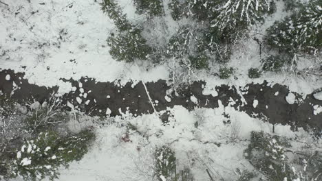Top-down-aerial-of-small-creek-running-through-forest-in-winter