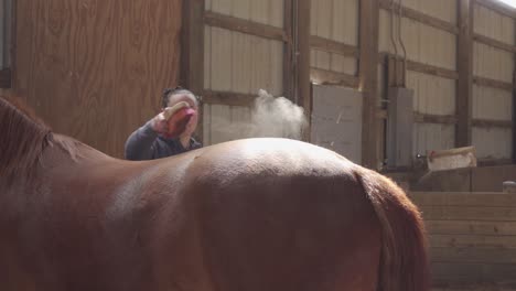 slow-motion-of-young-women-cow-girl-brushing-a-horse-with-dust-into-the-bright-sunbeam-warm-peaceful-light-in-an-indoor-arena-with-a-brown-red-horse-4k-close-medium-shot