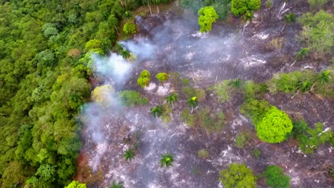 Aerial-view-overlooking-smoking-forest,-a-wild-fire,-burning-in-Jungle,-in-Congo,-Central-Africa---pan,-drone-shot