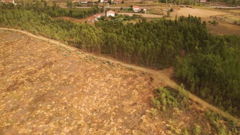 Vista-Aérea-De-4k-Deforestación-De-Una-Gran-Parte-Del-Bosque