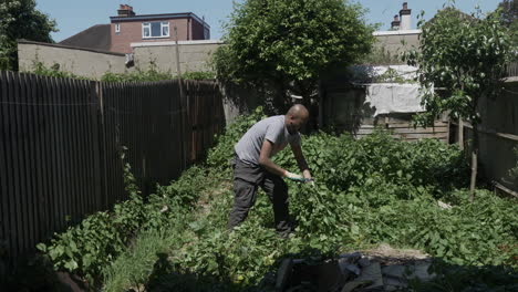Ethnic-Minority-Adult-Male-Clearing-Bindweed-In-Back-Garden
