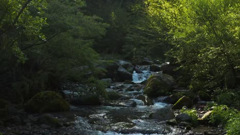 Grüne-Natur-Des-Mount-Daisen-Nationalparks,-Rückzug-Aus-Der-Luft-über-Den-Fluss