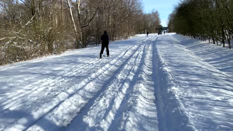A-Cross-Country-Ski-Trail-At-Forest-With-Skiers-During-Sunny-Wintertime