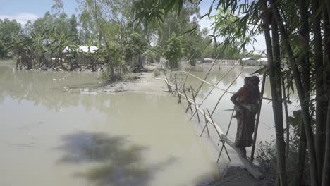 Woman-is-passing-over-a-bamboo-bridge-with-her-child-in-the-back-after-a-flood-has-taken-place
