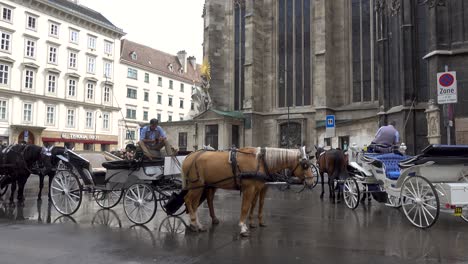 Fiaker-horse-carriages-and-drivers-taking-a-rest