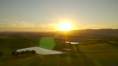 Slow-decent-over-vast-sunset-vineyard-landscape-scene-in-Yarra-Valley,-Victoria,-Australia