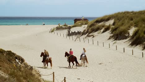 People-ride-horses-on-the-beach
