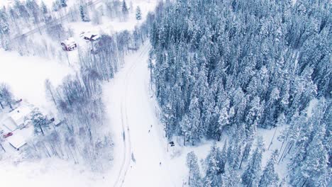 Wide-aerial-view-of-cross-country-skiers-in-cold-snowy-winter-climate