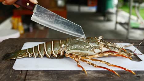 Knife-on-fresh-lobster-on-cutting-board,-handheld-motion-view