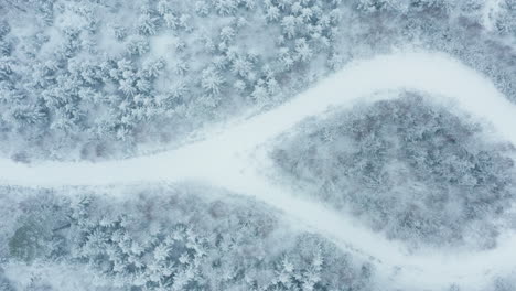 AERIAL---Roads-around-a-snowy-forest-in-Sweden,-wide-shot-top-down-pan-right