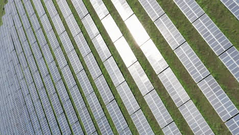 Vertikales-Luftbild,-Das-Tief-über-Einer-Reihe-Von-Solarpaneelen-In-Einem-Solarpark-Fliegt