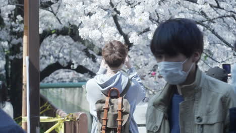 Menschen,-Die-Während-Der-Hanami-Saison-Inmitten-Einer-Pandemie-Mit-Ihren-Smartphones-Fotos-Von-Blühenden-Kirschblüten-Machen