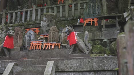 Kitsune-Fox-Messenger-Estatuas-En-Mossy-Fushimi-Inari-Taisha,-Kyoto,-Japón