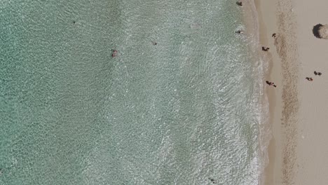 People-enjoy-water-of-blue-sea-near-sandy-coastline,-aerial-top-down-view