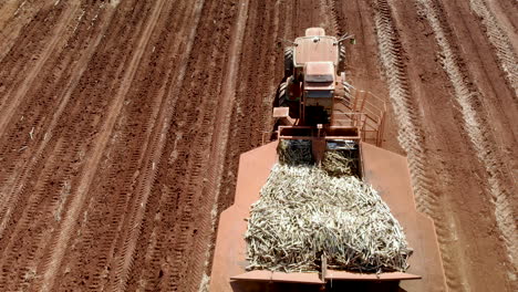 Automated-tractor-planting-sugar-cane-in-Brazil