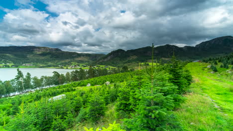 Time-lapse-of-Christmas-tree-firs-growing-in-Norway-with-mountains-and-lake