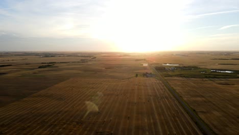 Luftaufnahmen-Von-4K-Drohnen-Von-Gelben-Und-Orangefarbenen-Weizenfeldern-Während-Des-Sonnenuntergangs-In-Nordamerikanischen-Prärien