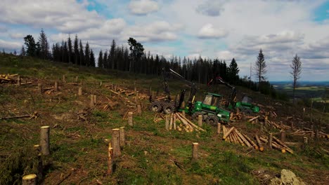 Forwarder-during-clearing-forest-after-trees-cutting