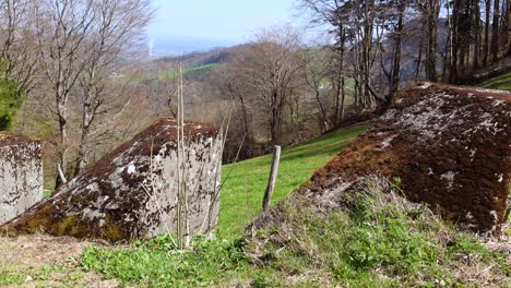 Panning-shot-showing-old-overgrown-anti-tank-barrier-in-the-world-war-in-Switzerland
