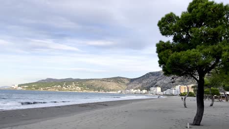 árboles-A-Lo-Largo-De-La-Playa-De-Shengjin-En-Albania