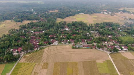 Beautiful-village-of-Geblek-Pari-surrounded-by-vast-rice-fields,-aerial-view