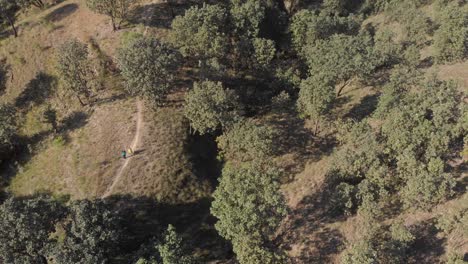 drone-shot-,-overhead-aerial-shot-of-a-forest