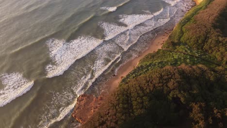 Picturesque-aerial-top-down-of-colorful-trees,lighting-cliff-wall-and-waves-from-ocean-during-sunset---Mar-del-Plata,Argentina