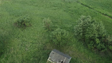 Drone-flight-over-an-abandoned-structure-or-shed-with-diagonal-flyover