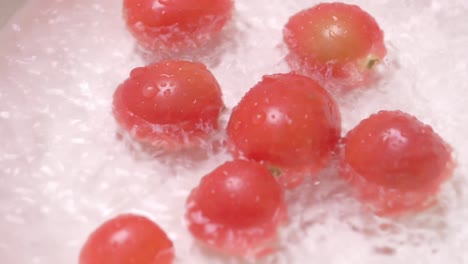 Kleine-Tomaten-Auf-Weißem-Hintergrund,-In-Wasser-Desinfiziert