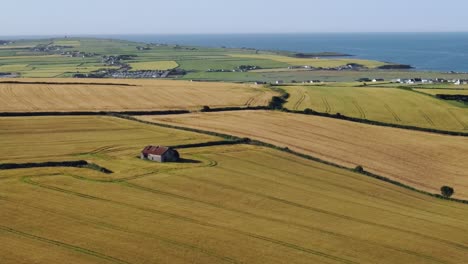 Yellow-fields-and-blue-ocean-with-doted-houses,-coastal-Ireland