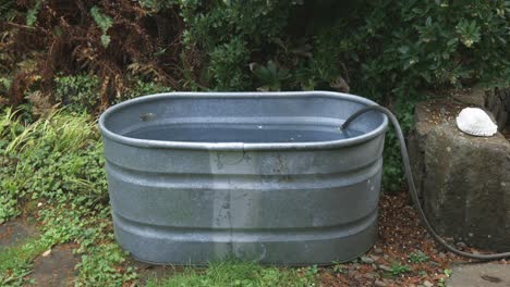 Cold-plunge-Galvanized-Oval-Tub-being-filled-with-a-hose
