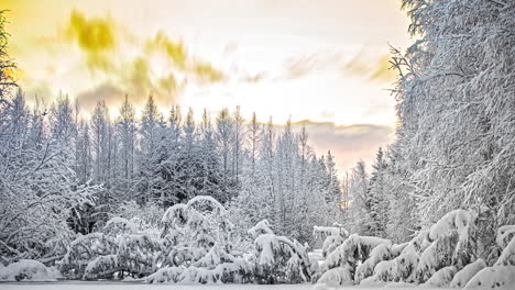 Sonneneruption-Am-Bewölkten-Himmel-Im-Zeitraffer-über-Weißem,-Schneebedecktem-Borealen-Wald