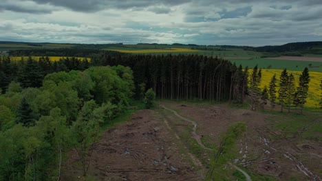 Overhead-shot-of-trees-blowing-by-the-wind-near-Svitavy-town-during-spring-on-cloudy-day,-Czech-Republic