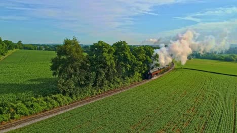 Aerial-Landscape-of-Farmlands-and-a-Antique-Steam-Engine-Passes-Thru-the-Corn-Fields-With-a-Drop-Down-View-on-an-Early-Summer-Morning