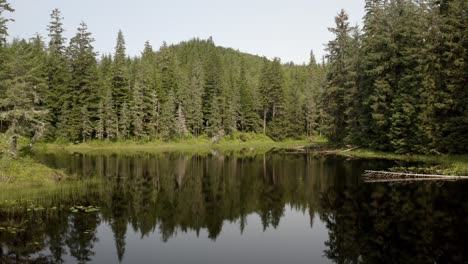 Lago-Verde-Y-Tranquilo-Junto-Al-Bosque-Y-Las-Montañas-De-Alaska--amplio